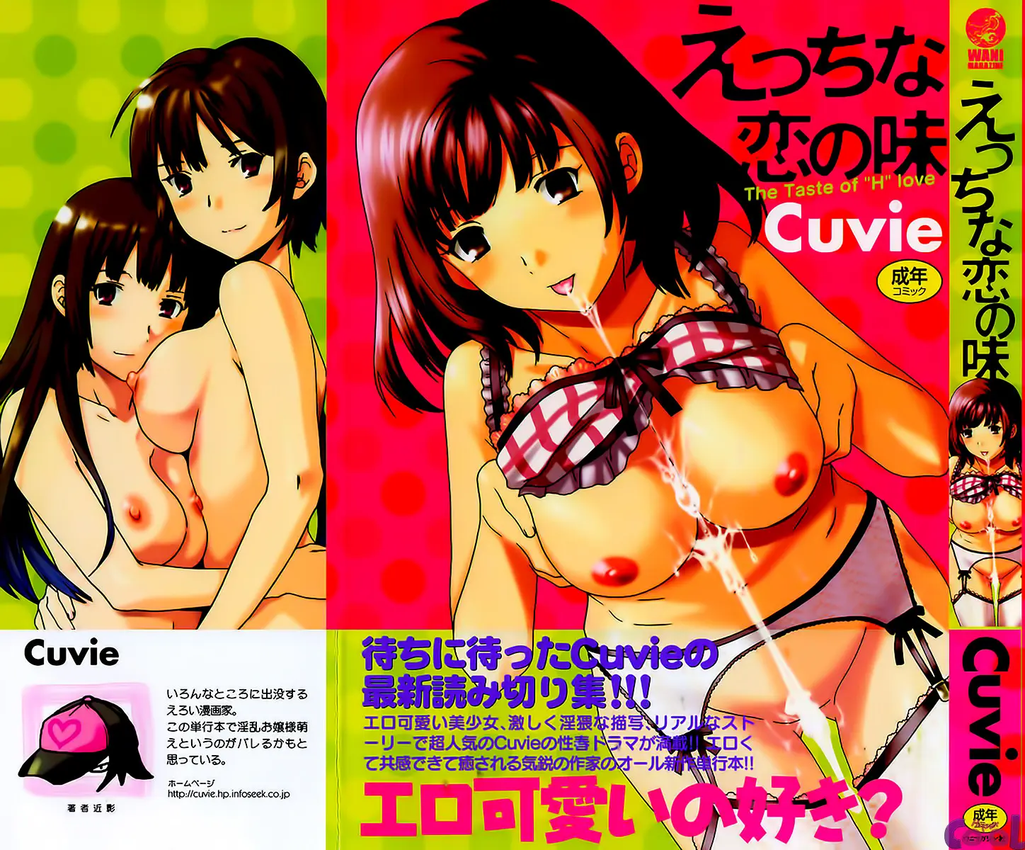 Ecchi na Koi no Aji